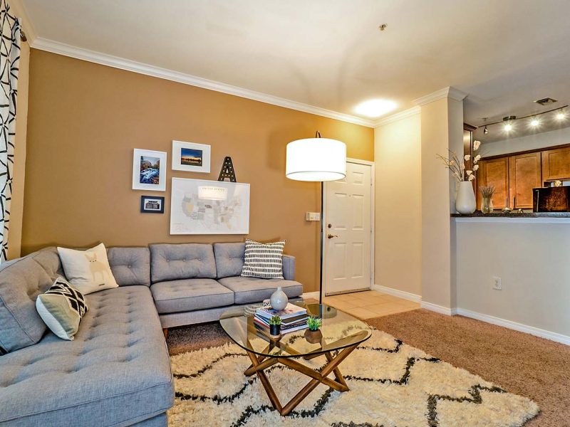 This image shows the premium feature in the living room area with a mind-blowing gas fireplace and modern design furniture.