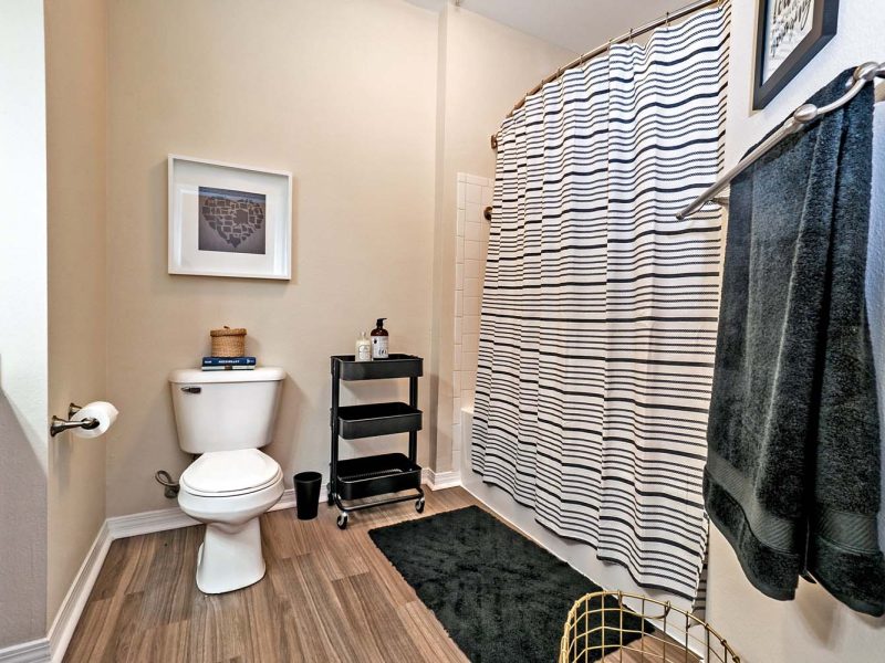This image shows the premium apartment feature, with a renovated bathroom with trendy plank flooring and more.