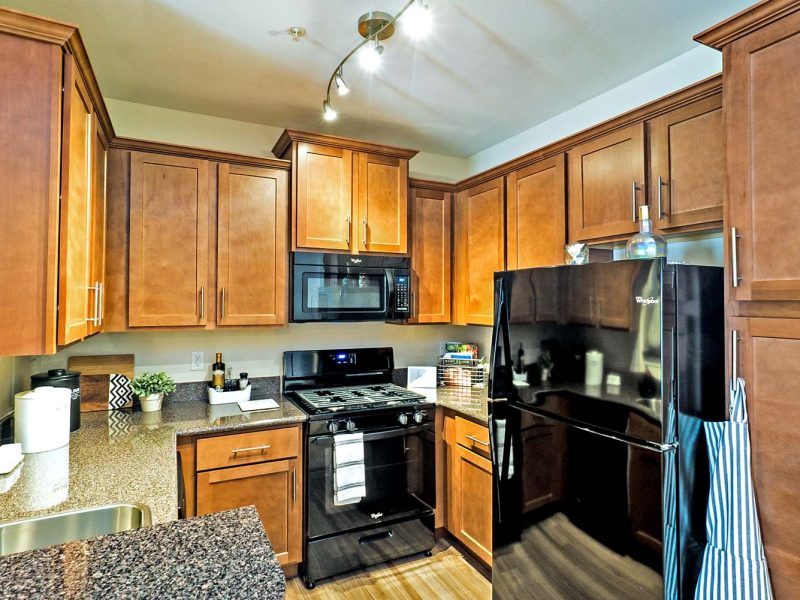 This image shows the premium apartment features, specifically the kitchen area that has a high-quality gourmet kitchen with all black appliances.