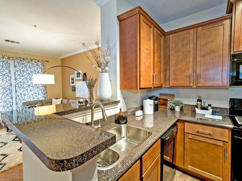 This image shows the premium apartment features, specifically the kitchen area with a high-quality kitchen bar and a gradient inspired countertops.